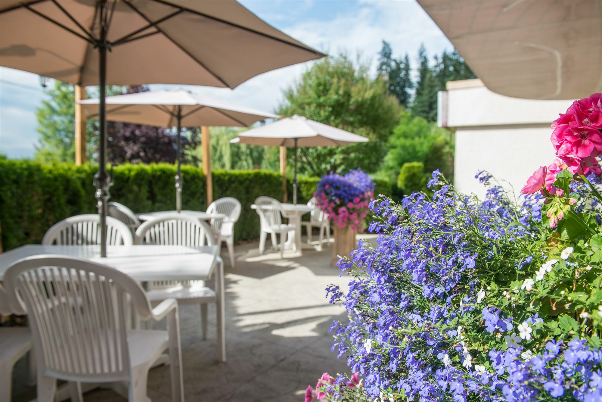 Hilltop Inn - Salmon Arm Luaran gambar